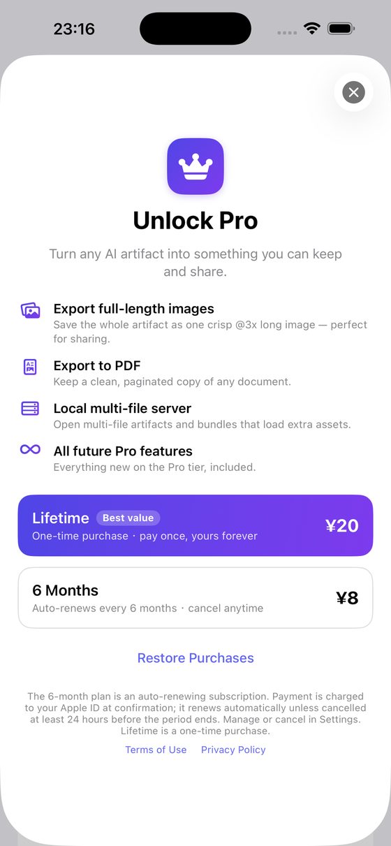 AI Artifact Reader Pro paywall with export features on iPhone